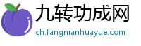 九转功成网